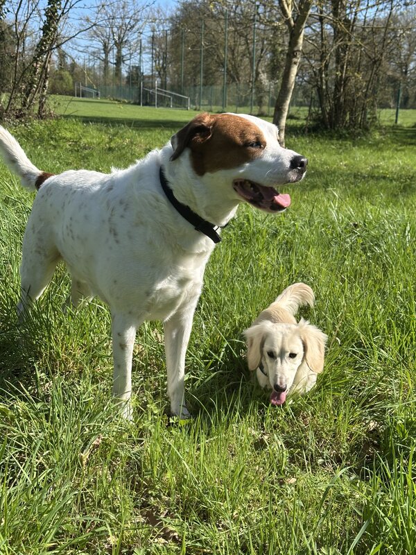 Arnold & Paddy