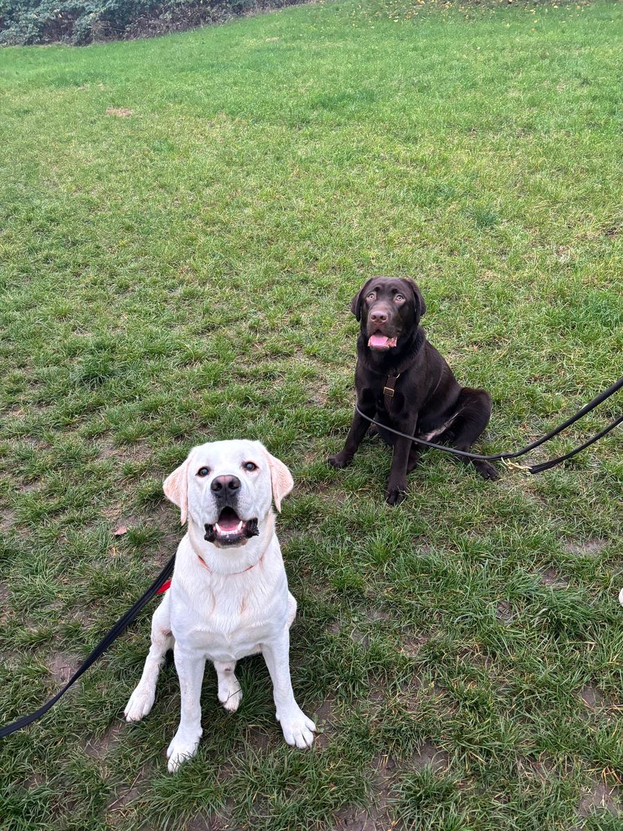 Harry & Headie