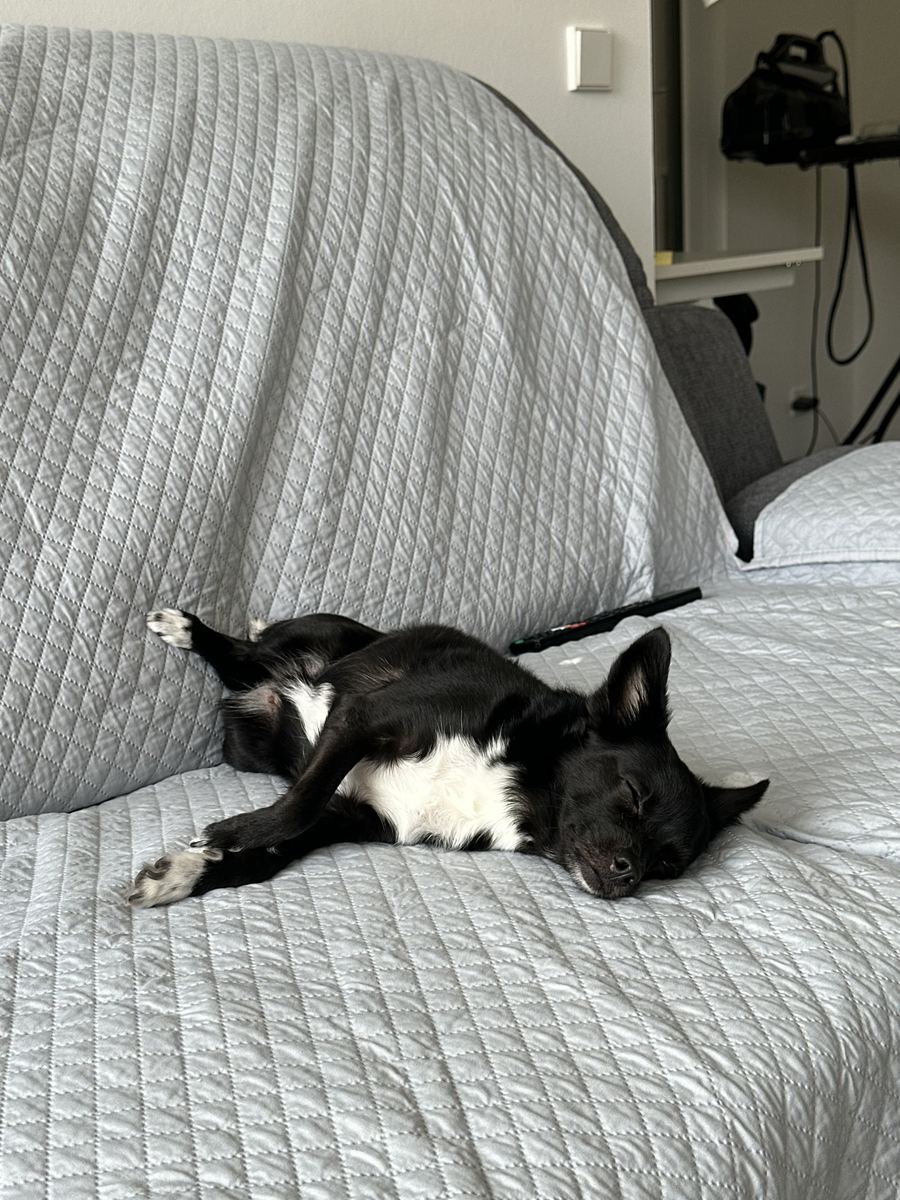 Luna